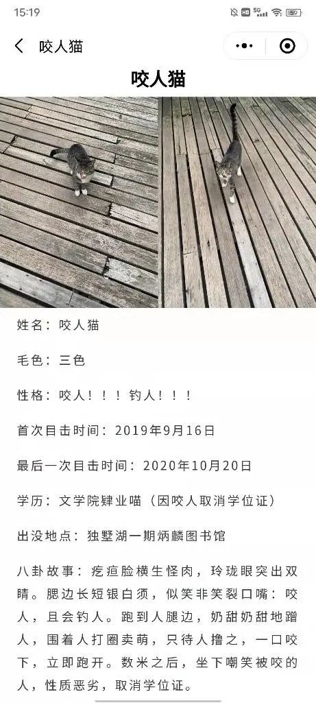 被黑天鹅打了,被黑天鹅攻击了