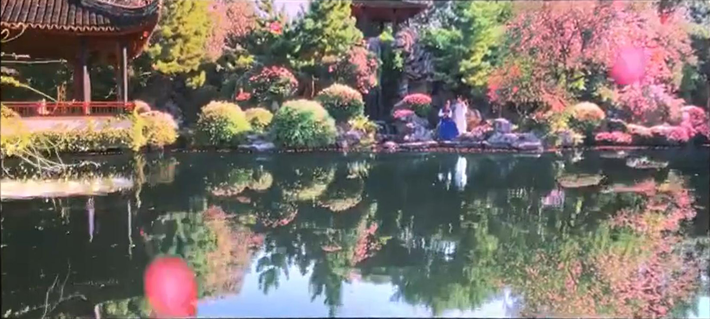 胡玫版红楼梦2021视频,红楼梦胡玫高清图片