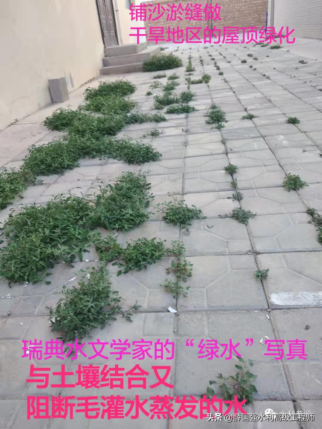 柴尔红、薛国强:我国水资源治理深度思考之西北篇(二)