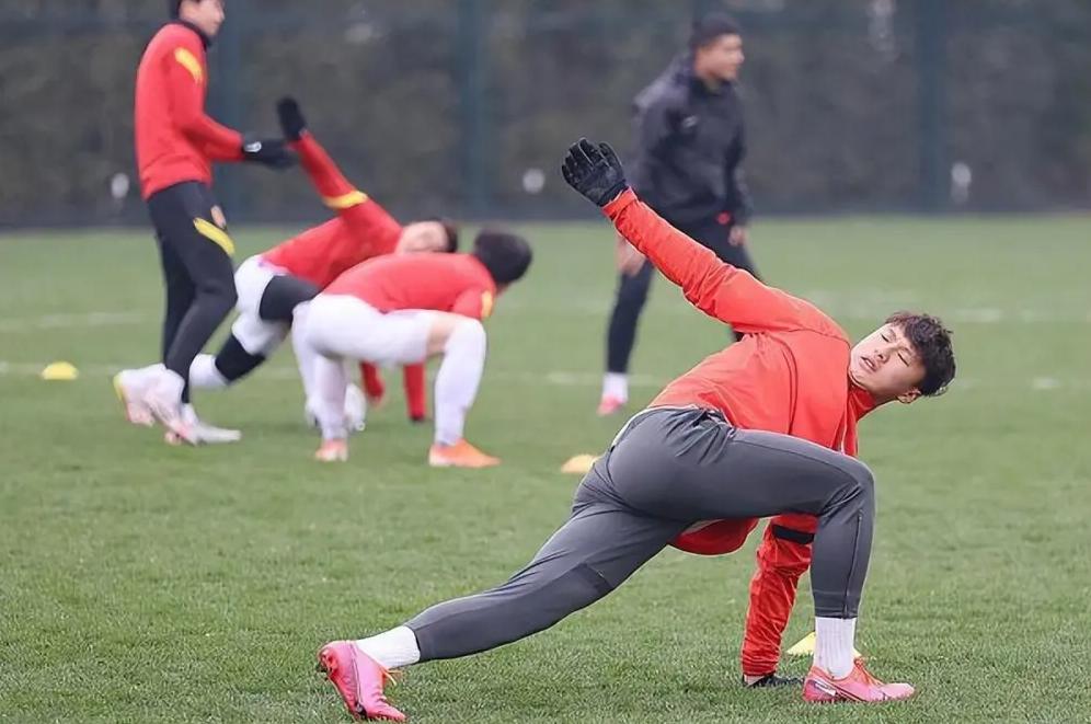 中国职业足球经过30年的发展,中国职业足球现状分析