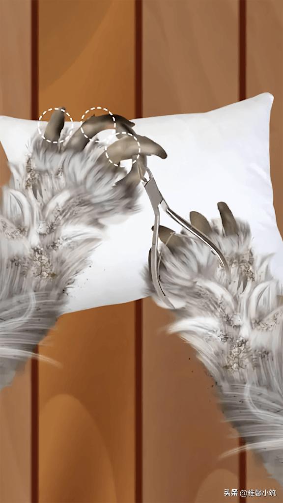 美容改造玩法换主角？宠物模拟游戏《CatMakeover》猫咪大变身