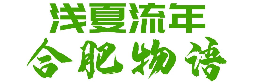 鍚堣偉涔嬪缃戠粶绉戞妧鏈夐檺鍏徃,鍚堣偉涔嬪