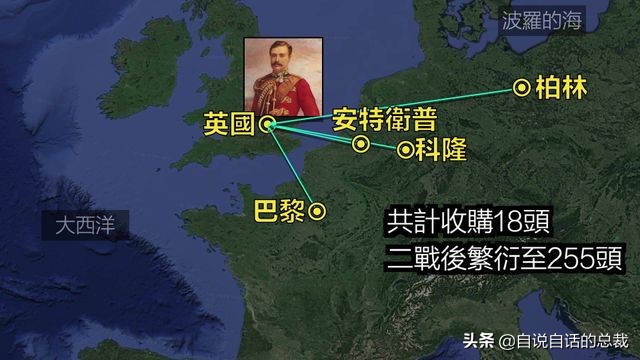 超级血液代表着什么,超级血液是啥