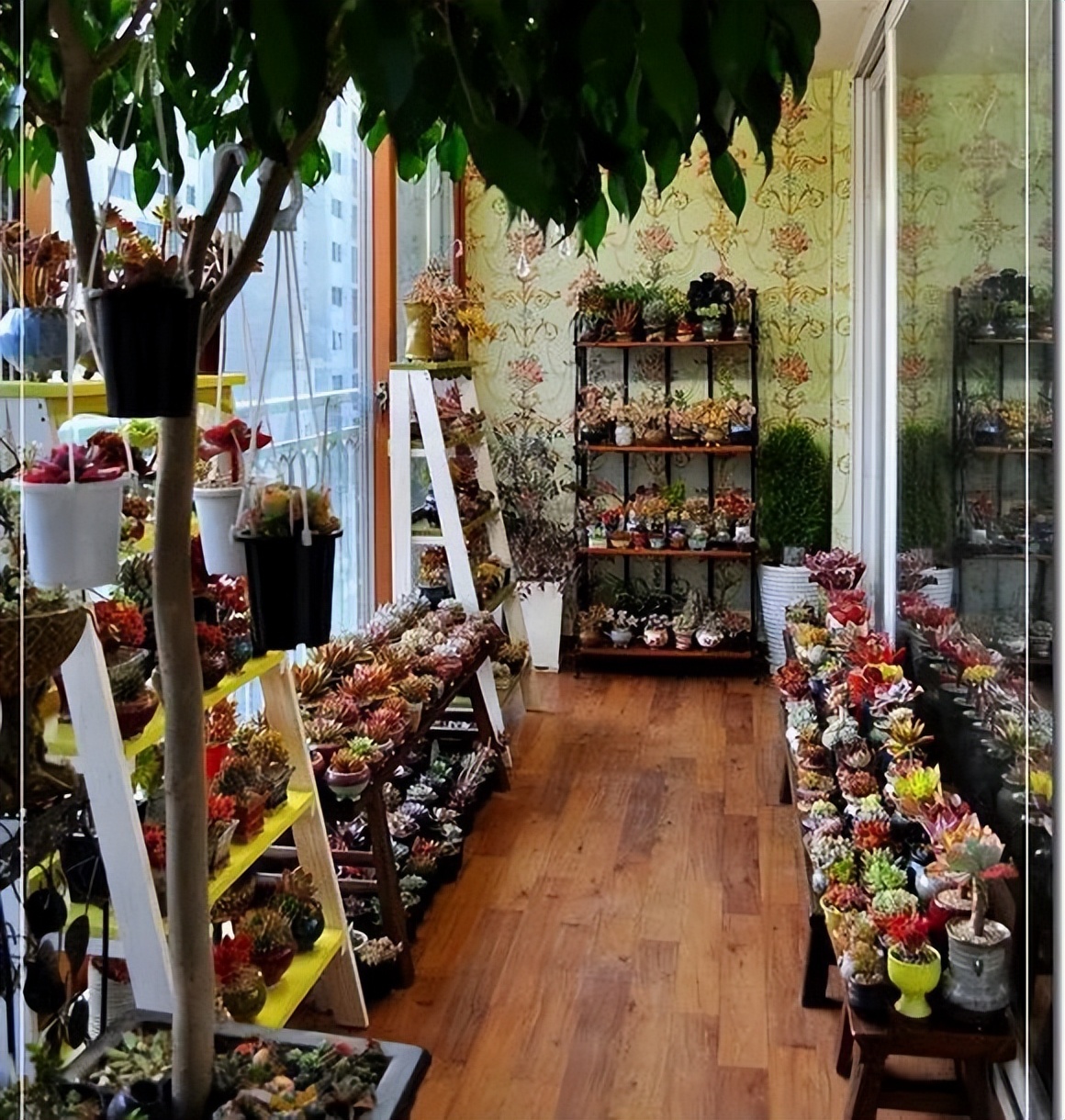 封闭阳台怎么养花技巧视频,封闭阳台养花技巧和方法