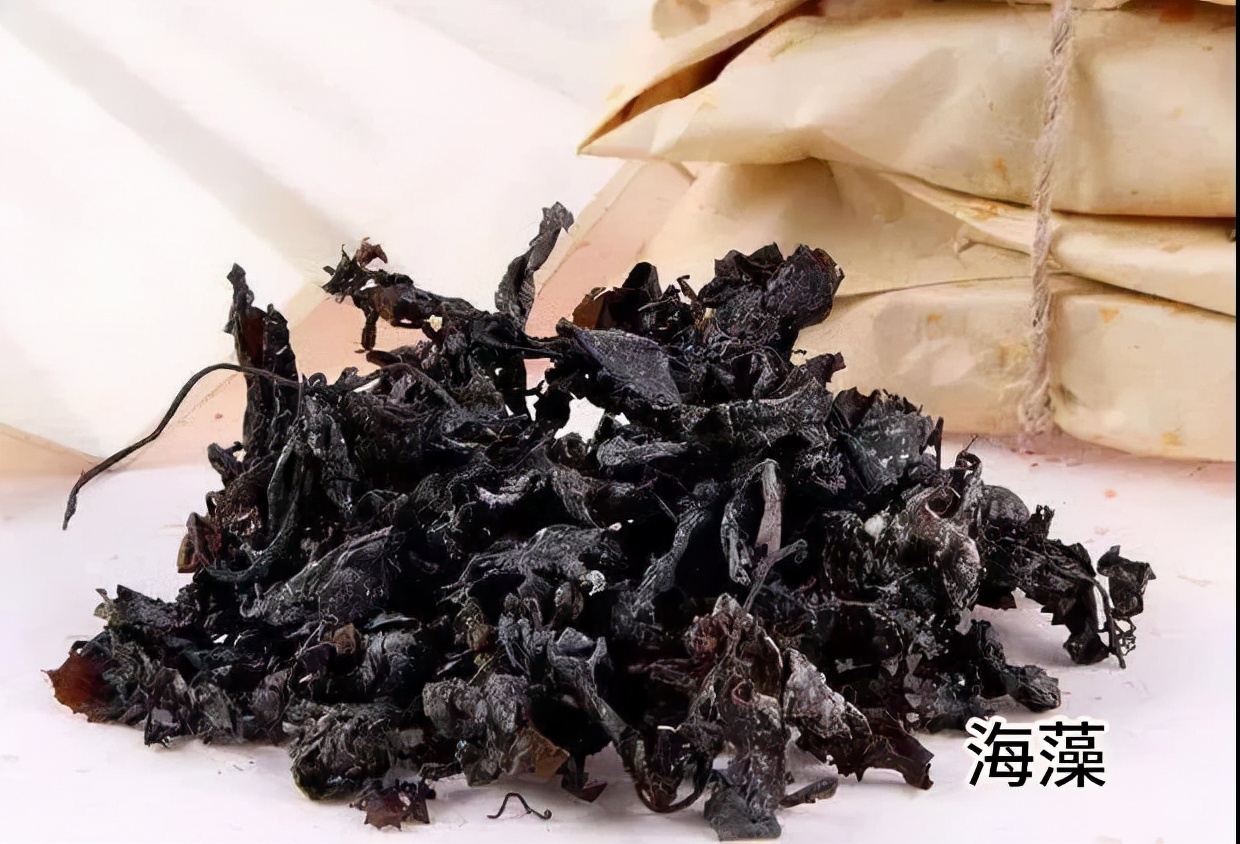 中药海藻功效与作用,中药海藻的煎煮方法