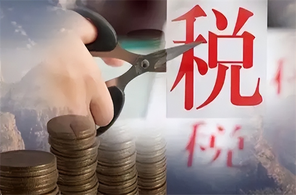 零申报个税可以在2个公司申报吗 (个税零申报残疾人就业保障金申报)