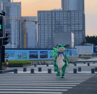 16岁卖青蛙,创业摆摊卖青蛙