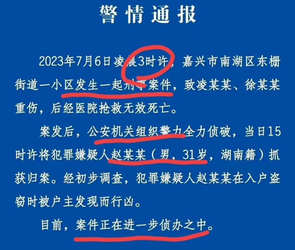 冲人or冲财？嘉兴普旺别墅杀人事件动机存疑！居民:更像是仇杀？
