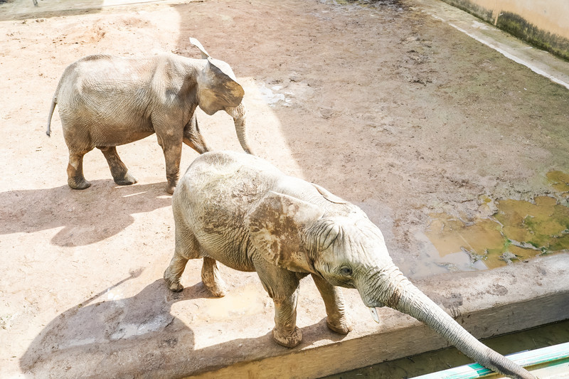 安吉中南百草园二天一夜攻略,安吉中南百草原刺激游乐项目