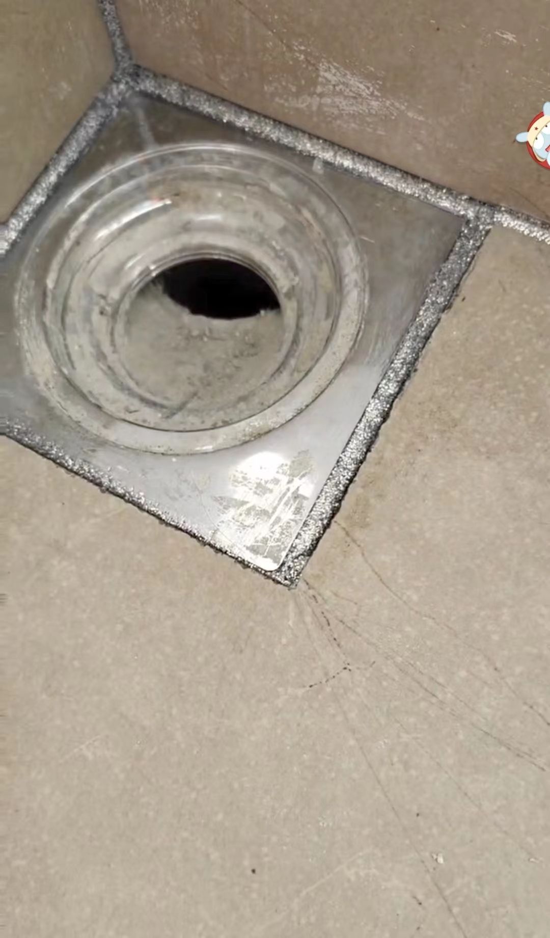 地板砖墙面发霉,地板发霉发黑墙没事