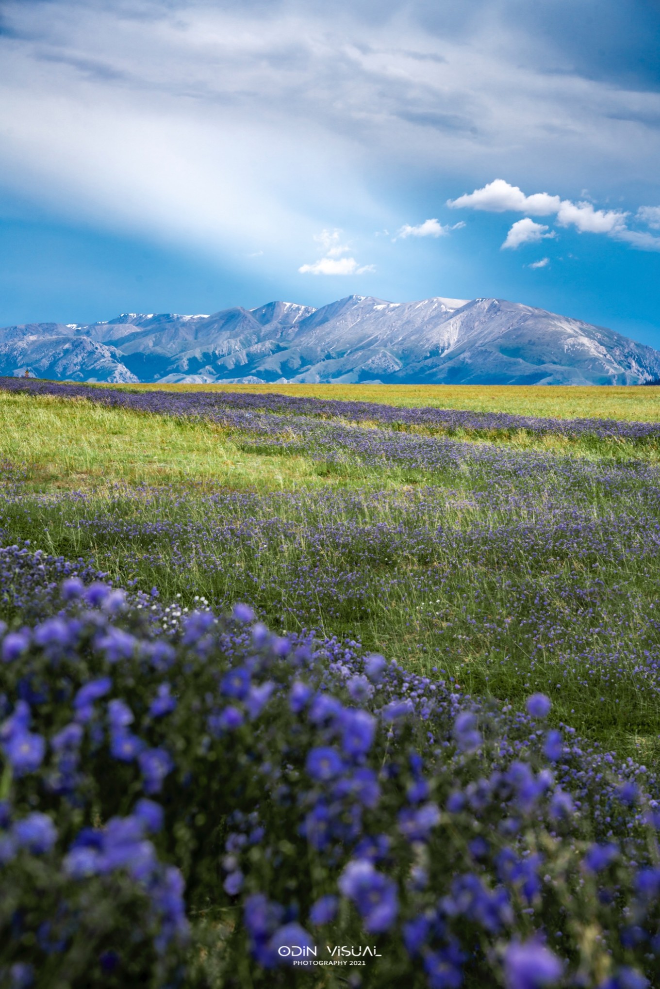 新疆伊犁之美,走了一圈才发现世界万物远不及你
