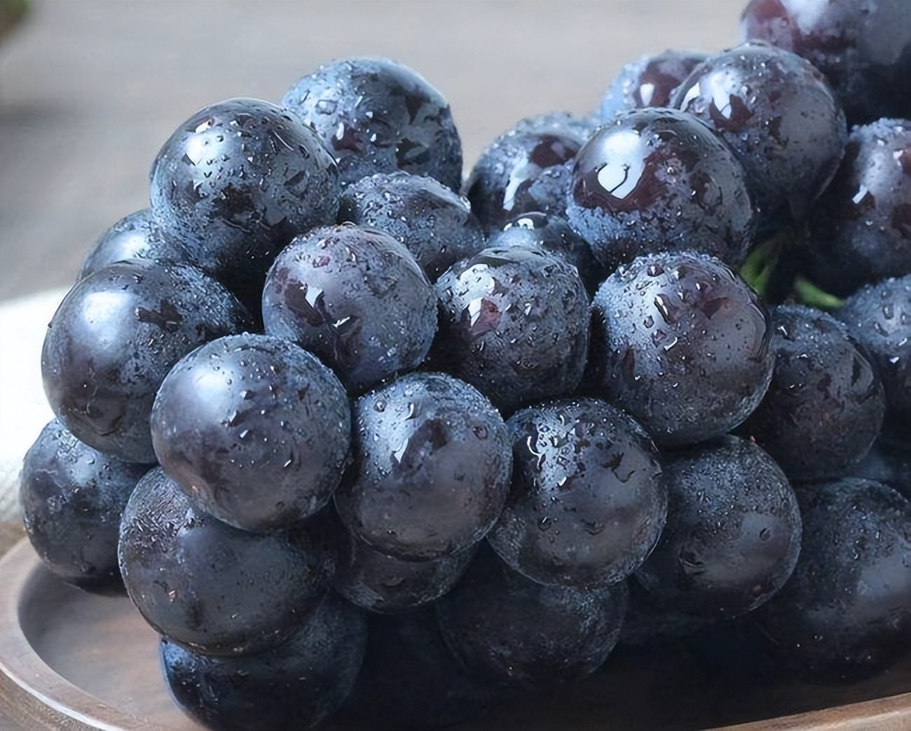 早熟葡萄苗新品种基地,四川新品种葡萄苗种植基地