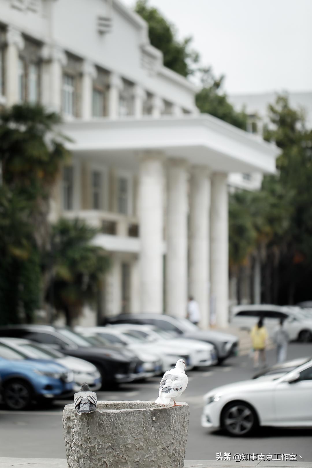 南京艺术学院520,南京艺术学院爱上你