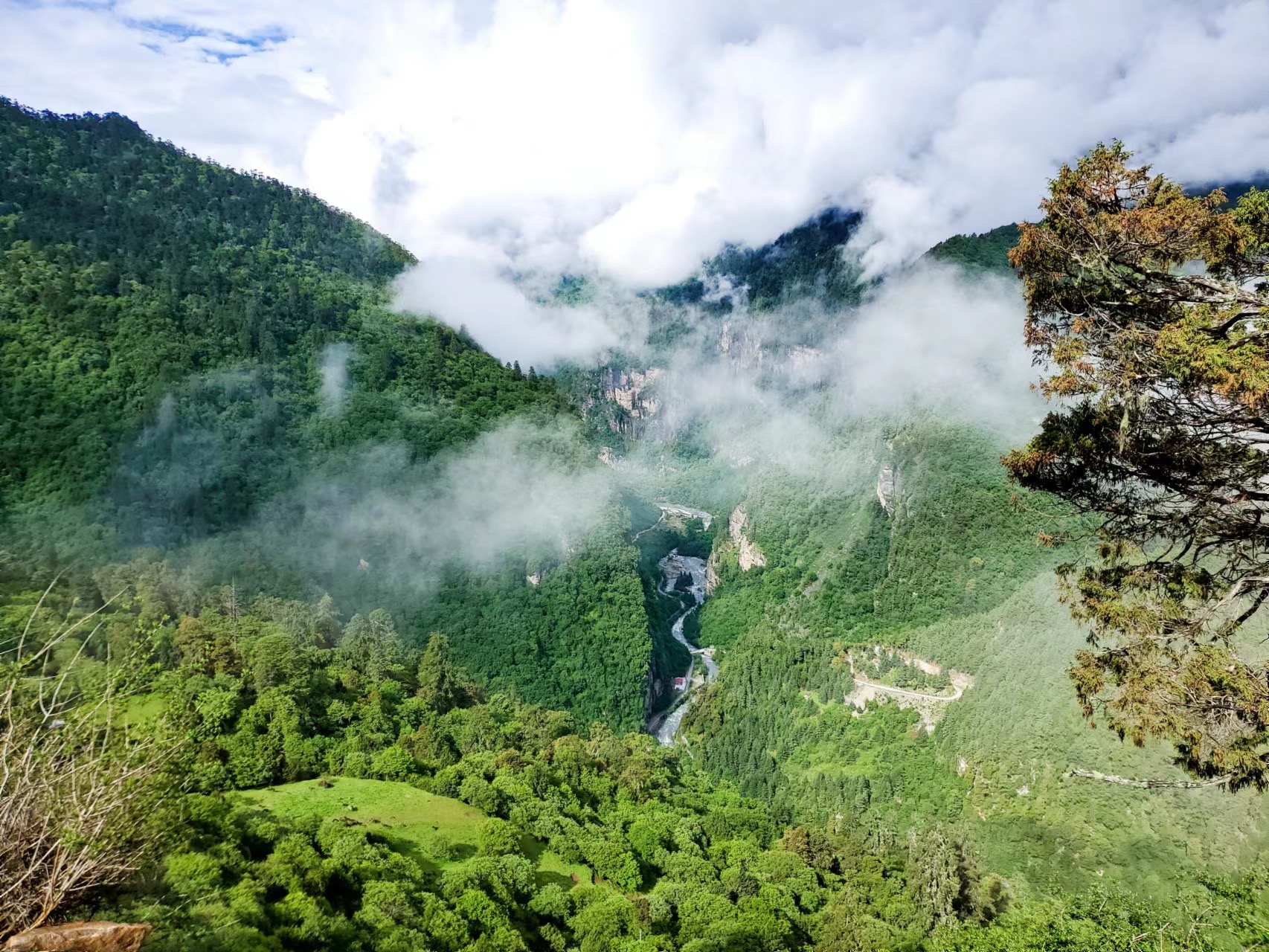 云南最高海拔的茶叶,海拔最高的茶叶产地在哪里