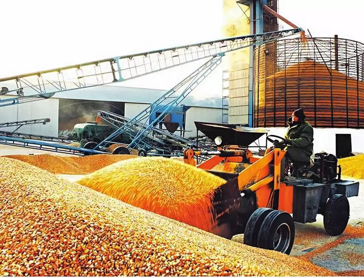 美国70万吨玉米订单被取消了吗,中国取消美国玉米订单吗