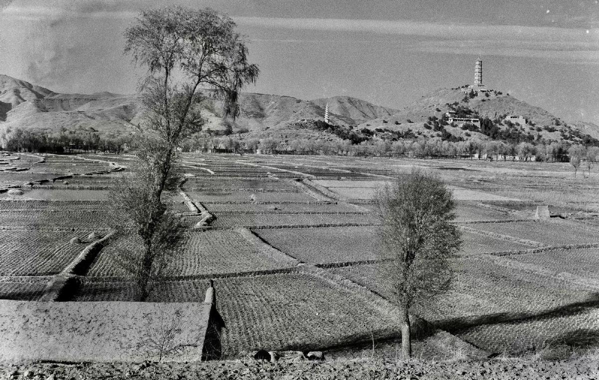 一百多年前的清朝刑法老照片,犯人身在人间,却比地狱还要难受