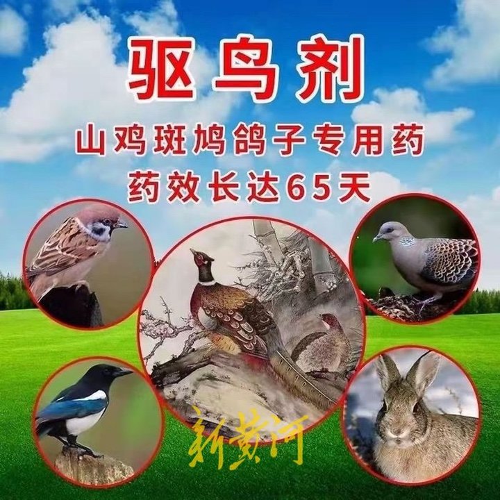 “我经常吃扁毛霜药死的野鸡，没事吧？”禁用剧毒药扁毛霜再现电商平台，生产厂家营业执照被吊销
