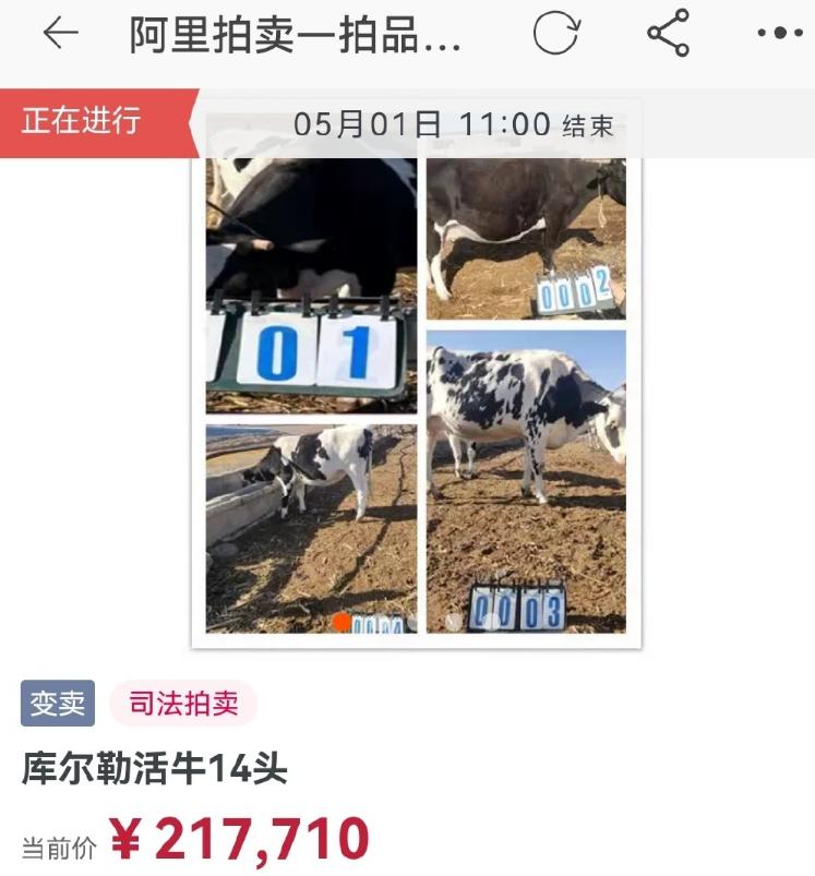 闲鱼捡漏怎样不被坑,新手玩闲鱼千万别把闲鱼想得太难