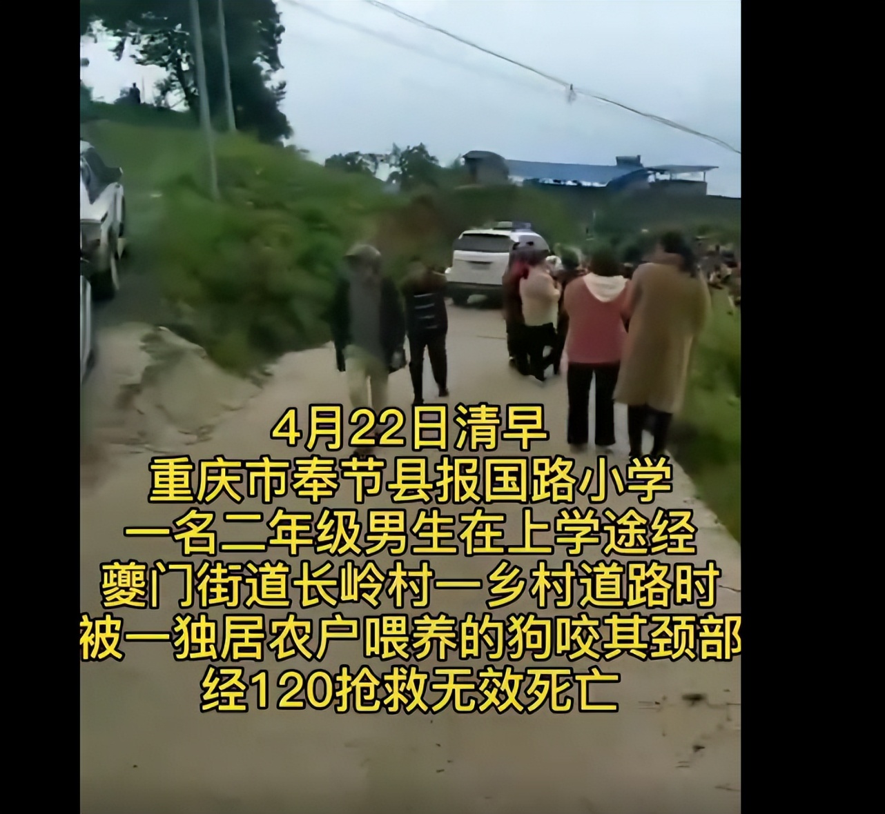 如何应对很凶的狗,遇到凶狗的正确方法