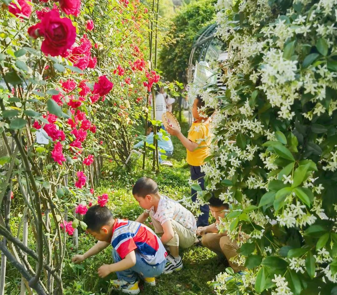 当古诗词遇上六一儿童节的浪漫,充满诗情画意的童年