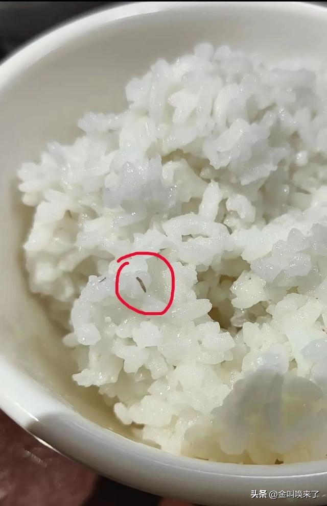 形象碎了一地!“啤酒大王”成都公司的食堂火了