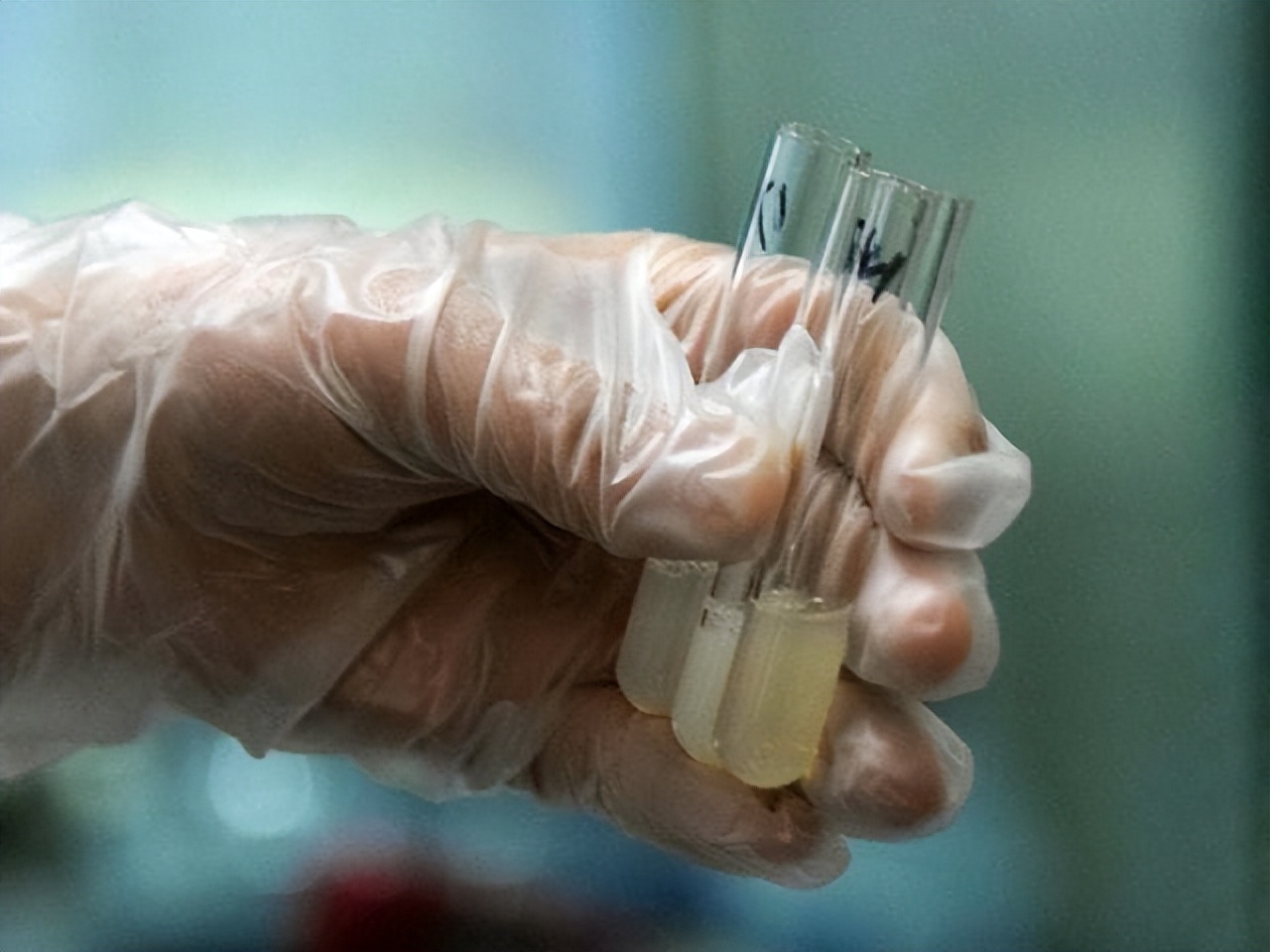 进入女性体内后，没“受精”成功的精子到哪儿去了？既好笑又心疼