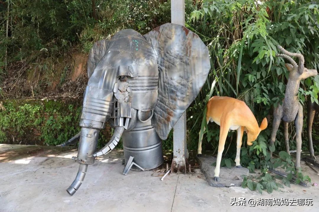 出发!长沙家门口的“非洲遛娃乐园”,小朋友最喜欢的长沙乐园!