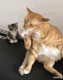 神回复把妹子都惊呆了,神回复尴尬的事