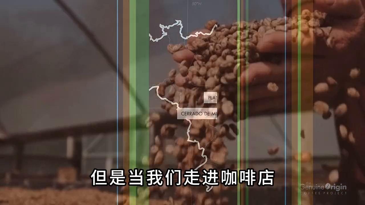 为什么巴西咖啡那么便宜,巴西咖啡为什么在中国不畅销