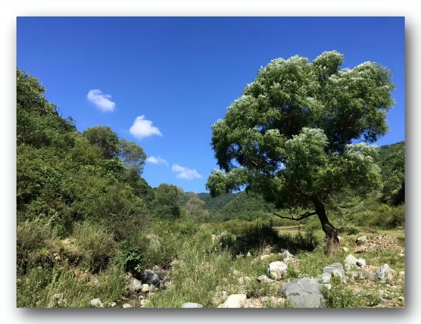 枫丹白露中国,探访中国最北漠河