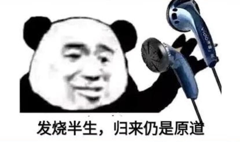 有线耳机百元内什么品牌的好,有哪些实用的百元耳机