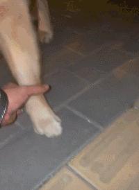 女厕的诡异事件,诡异女厕