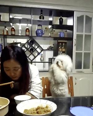 女孩去纹身结果喜欢上了纹身师,陪老婆去纹身