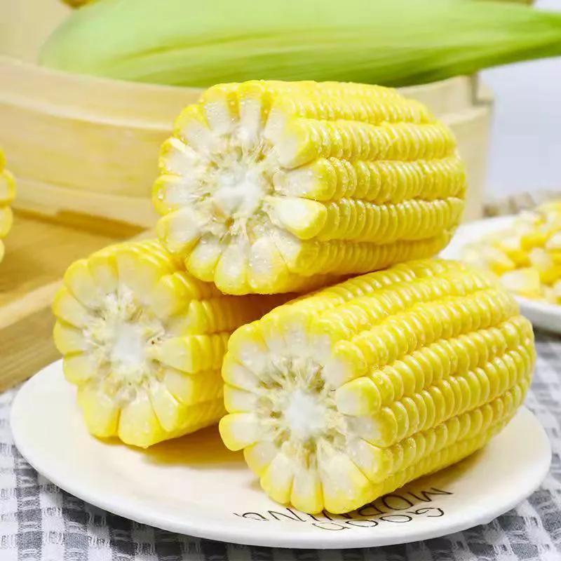 小孩眼睛吃什么护眼,吃什么食物对眼睛好又明目