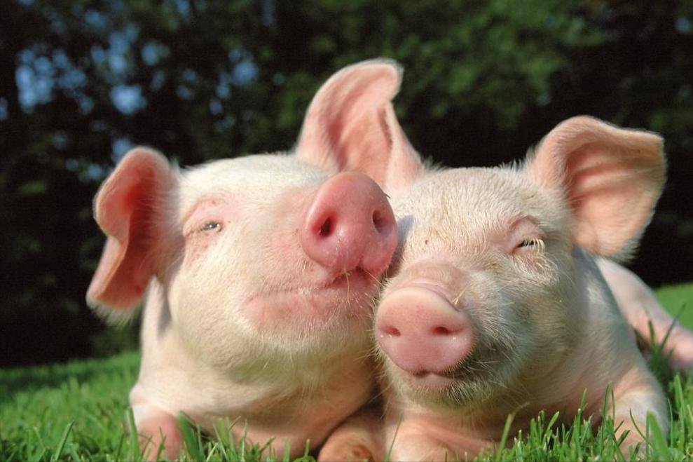 北欧生活真的富裕吗,北欧怎么变得富裕发达