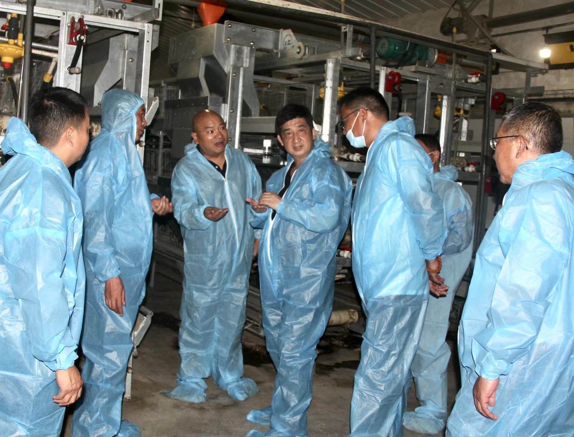 河南肉鸡养殖带动乡村振兴,扶持肉鸡标准化规模养殖场建设