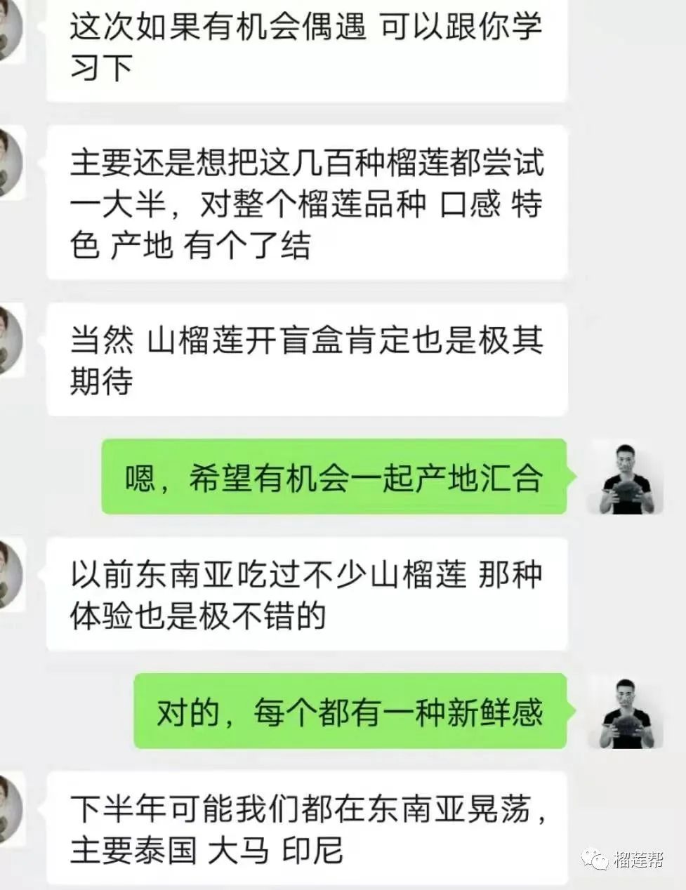 开一个38元榴莲店怎么样,开一家关于榴莲的店