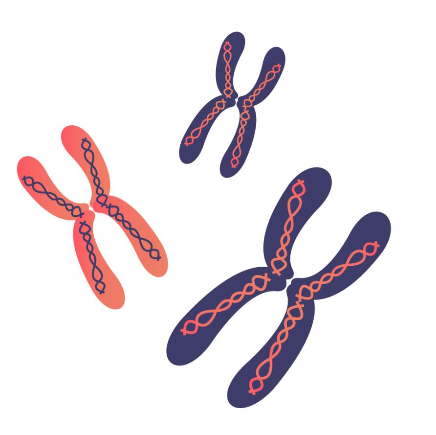 复发性流产系统性知识——病因