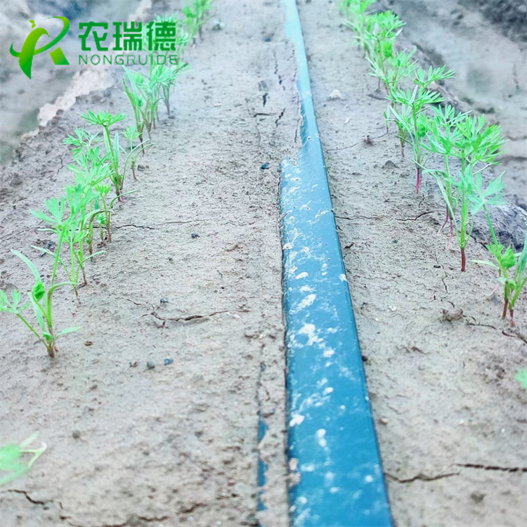 多功能小粒种子播种机,小粒种子精播机