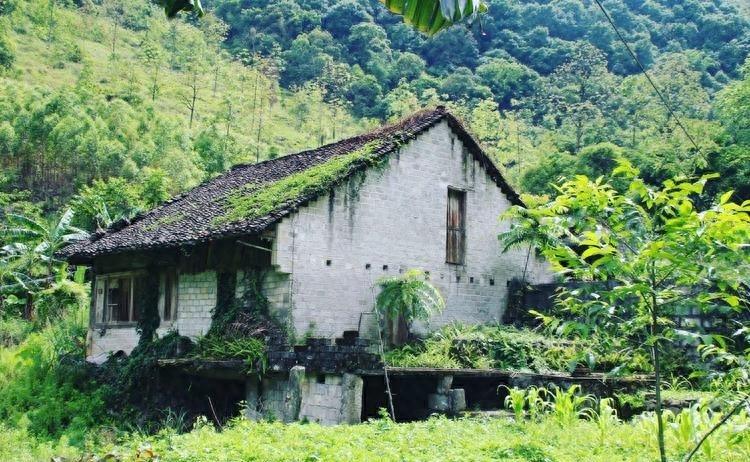 吴霞：19岁和39岁穷小子私奔