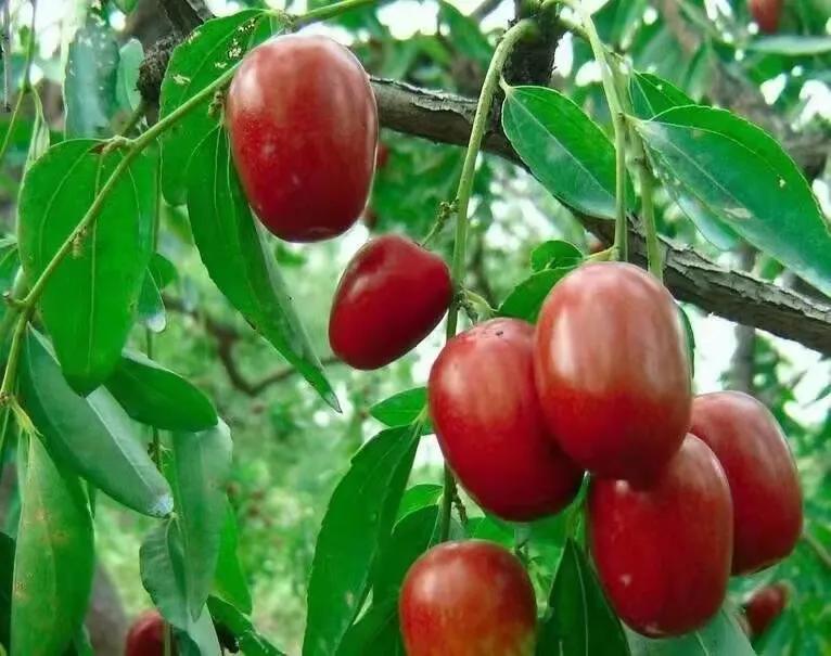 秋分是几月几号2021年,秋分早上好图片最新