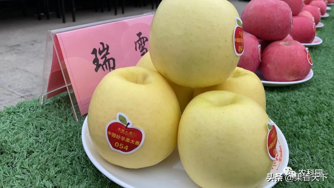 众成三号苹果新品种,最新最全苹果新品种