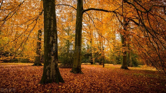 黄昏完整版免费阅读,黄昏剧情完整版