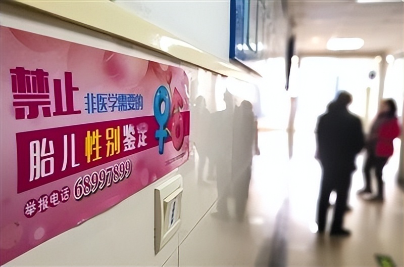 挑战社会法治底线！“暗藏杀机”的“寄血验子”，为何屡禁不止？