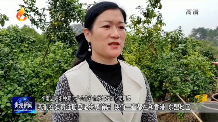 年审通过“贵港产”水果即将远销海外