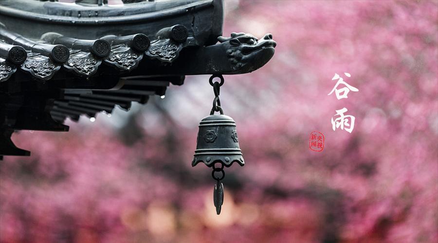 手写谷雨春天的最后一次回眸,谷雨春天的最后一次回眸图片