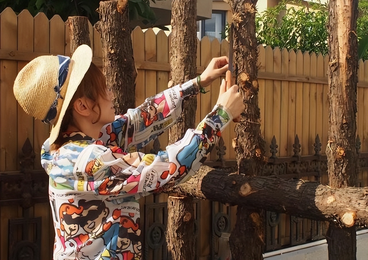 黄雅莉院子视频,黄雅莉在北京的房子