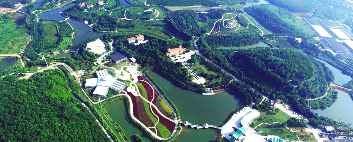 茂名美食攻略一日游,茂名美食旅行攻略