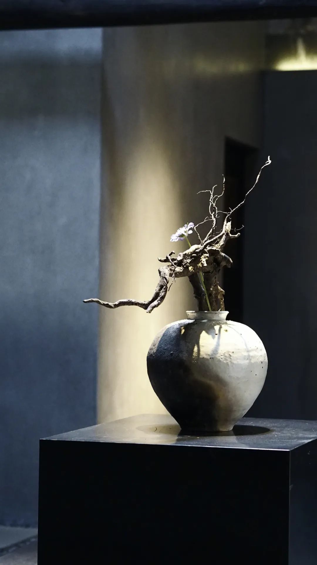 中国年轻人，不买房，只“玩物丧志”