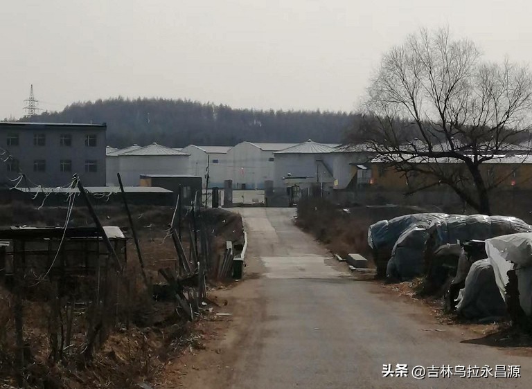 1991年，反映“啃老”的电影《过年》在吉林市欢喜乡拍摄